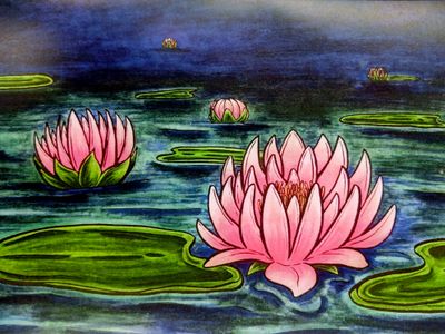 Water Lily Greeting Card