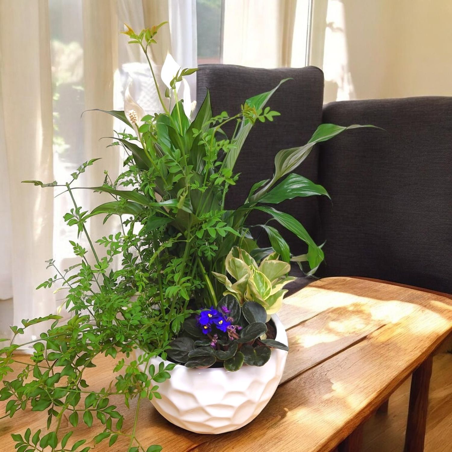 Exquisite Jasmine Planter