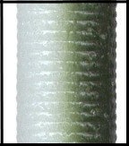 Gary Yamamoto Custom Baits Senko Worm Gary Yamamoto Custom Baits Senko Worm