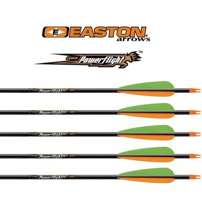 Easton Powerflight Arrows 500