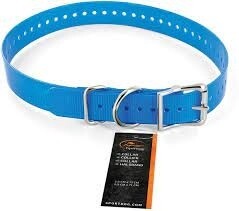 SportDog Collar Blue 2.5cm x 71cm