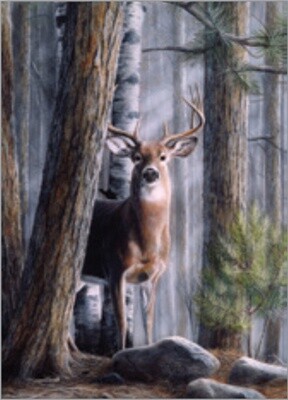 Imagimex Greeting Cards Deer in Clearing