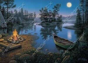 Imagimex Greeting Cards Campfire