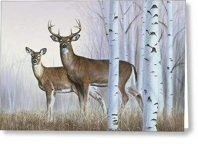 Imagimex Greeting Cards Buck and Doe