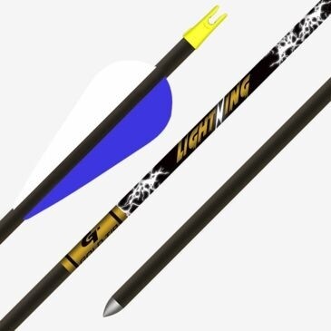 Gold Tip Lightning 28&quot; Carbon Youth Arrows