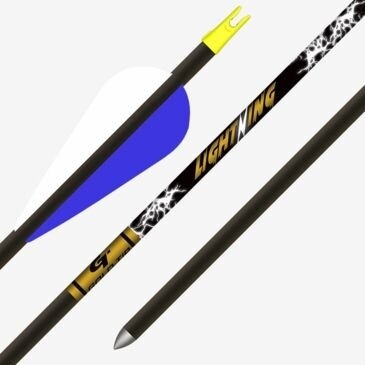 Gold Tip Lightning 28" Carbon Youth Arrows