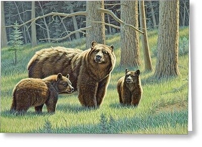 Imagimex Greeting Cards Mother Bear and Cubs