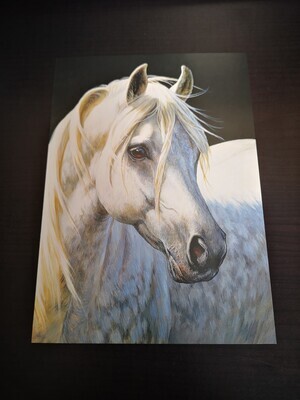Imagimex Greeting Cards White Horse