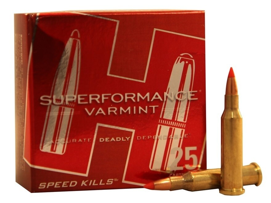 Hornady Superformance Varmint 17 Hornet 20 Grain V-Max (25 Rounds)