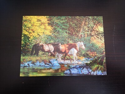 Imagimex Greeting Cards 3 Horses