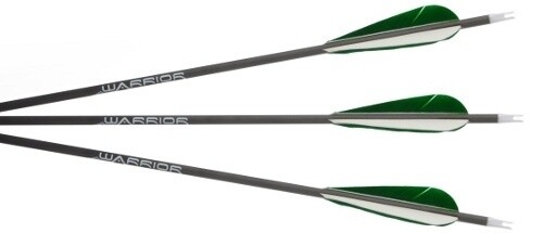 Gold Tip Warrior 500 2" Raptor Vanes Sold Individually