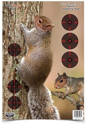 Birchwood Casey Pre-Game Reactive Squirrel Target 8 12" x 18"