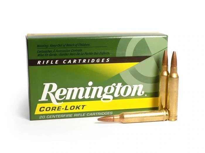 Remington Core-Lokt 300 Win Mag 180 Grain PSP (20 Cartridges)