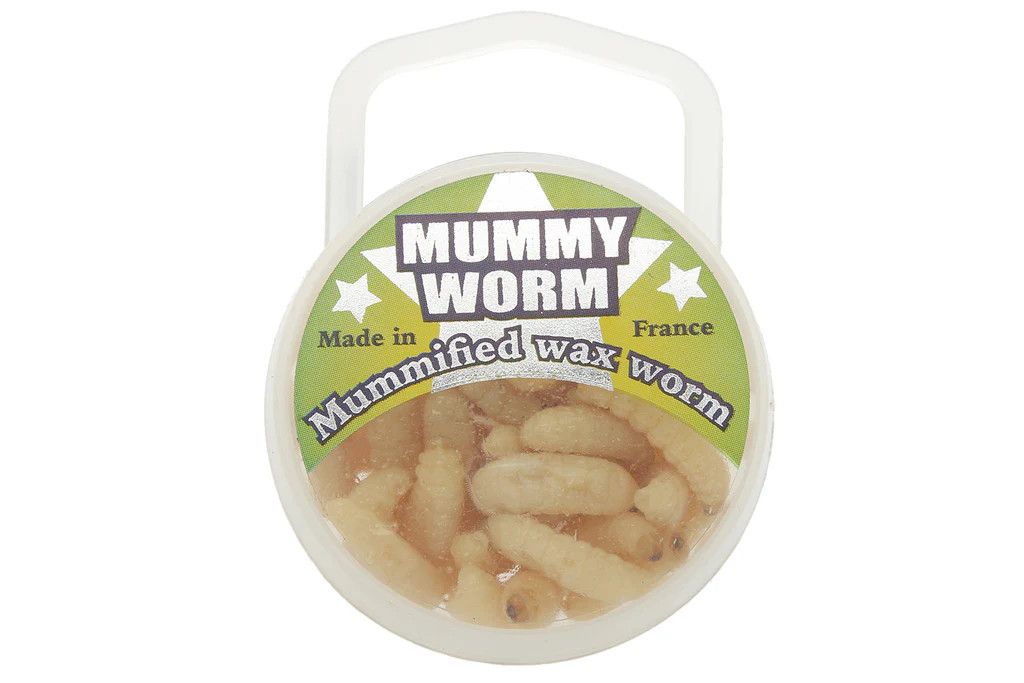 Eurotackle  Mummy Worms (35-Pack), Color: Natural