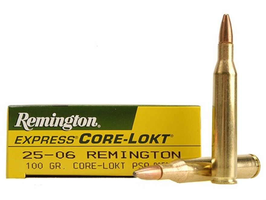 Remington Core-Lokt 25-06 Rem. 100 Grain PSP (20 Rounds)