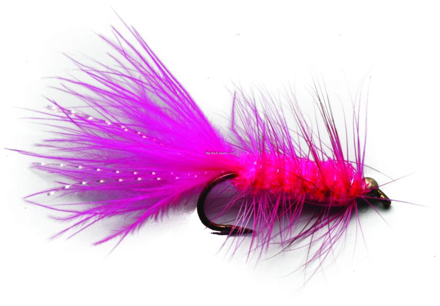Superfly FLY6406-08P Salmon BH Wooly Bugger Pink #08 Superfly FLY6406-08P Salmon BH Wooly Bugger Pink #08