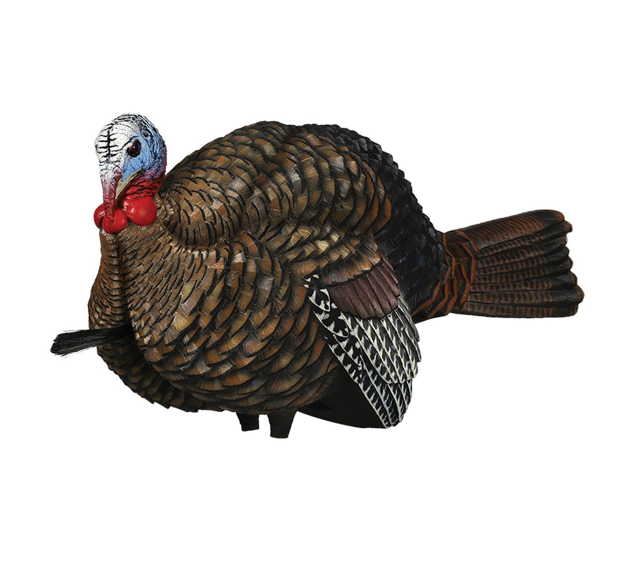 Avian-X LCD Half-Strut Jake Turkey Decoy