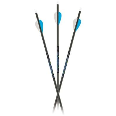 Carbon Express Predator Arrows 4560