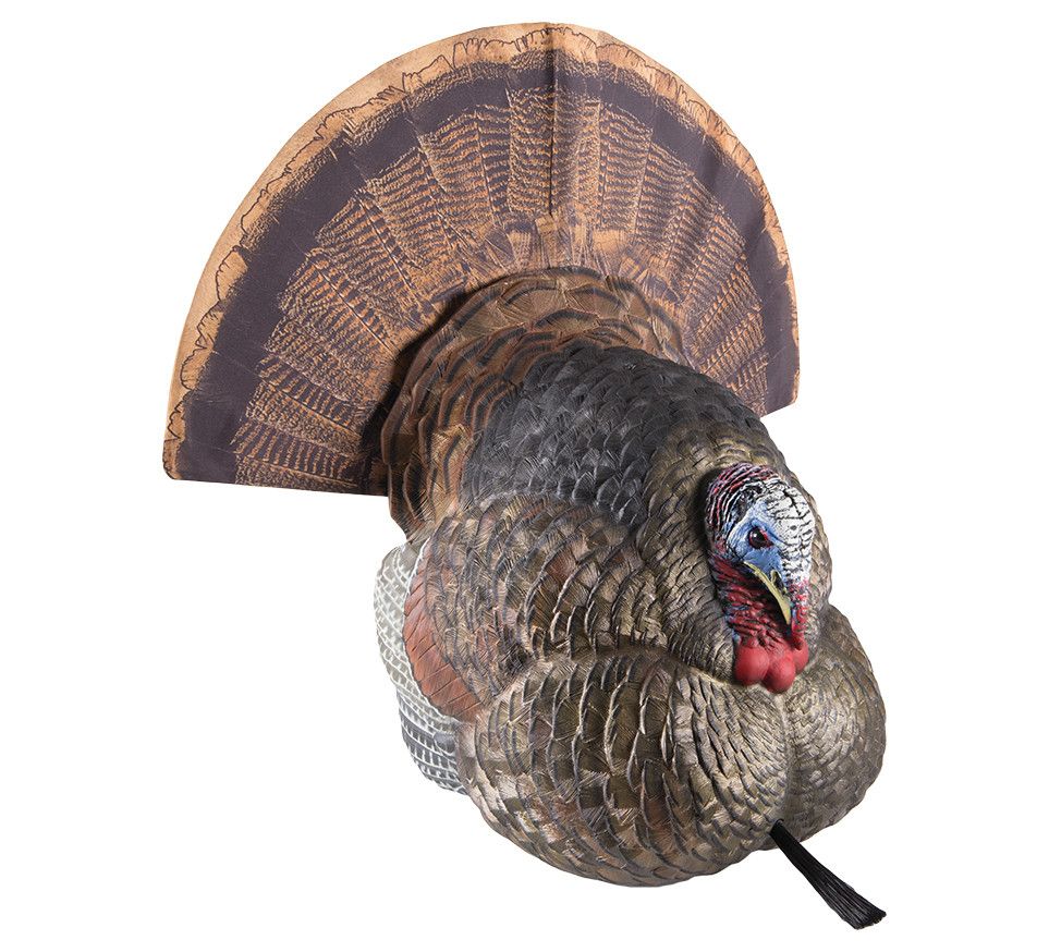 Avian-X LCD Tom Strutter Turkey Decoy