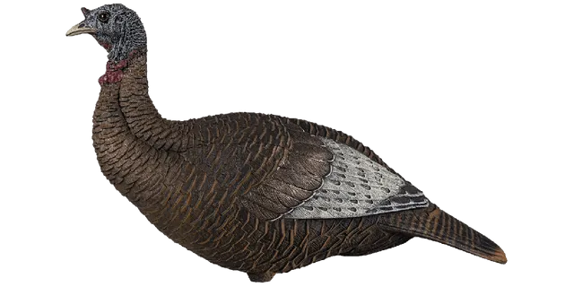 Flextone Thunder Chick Upright Hen Turkey Decoy