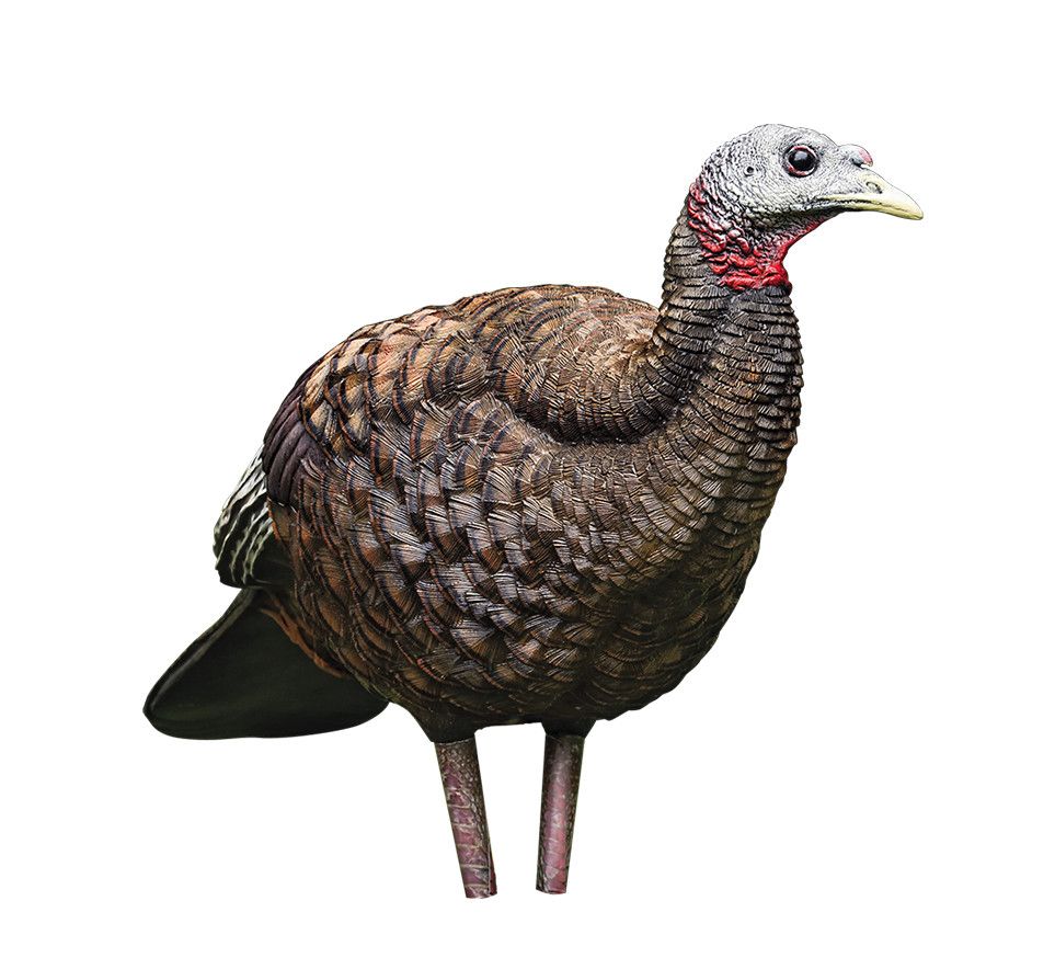 Avian-X LCD Collapsible Breeder Hen Turkey Decoy