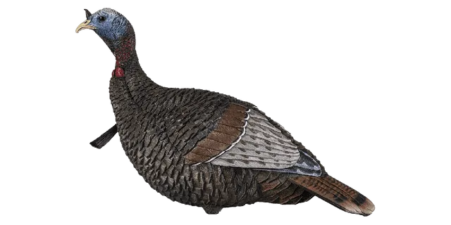 Flextone Thunder Jake 1/4 Strut Turkey Decoy