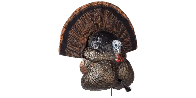Flextone Thunder Creeper Strutter Turkey Decoy