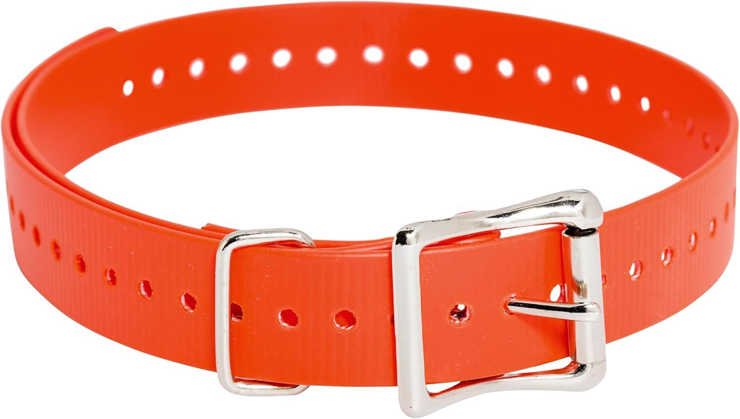 SportDOG SAC00 Orange Dog Collar 1 Inch