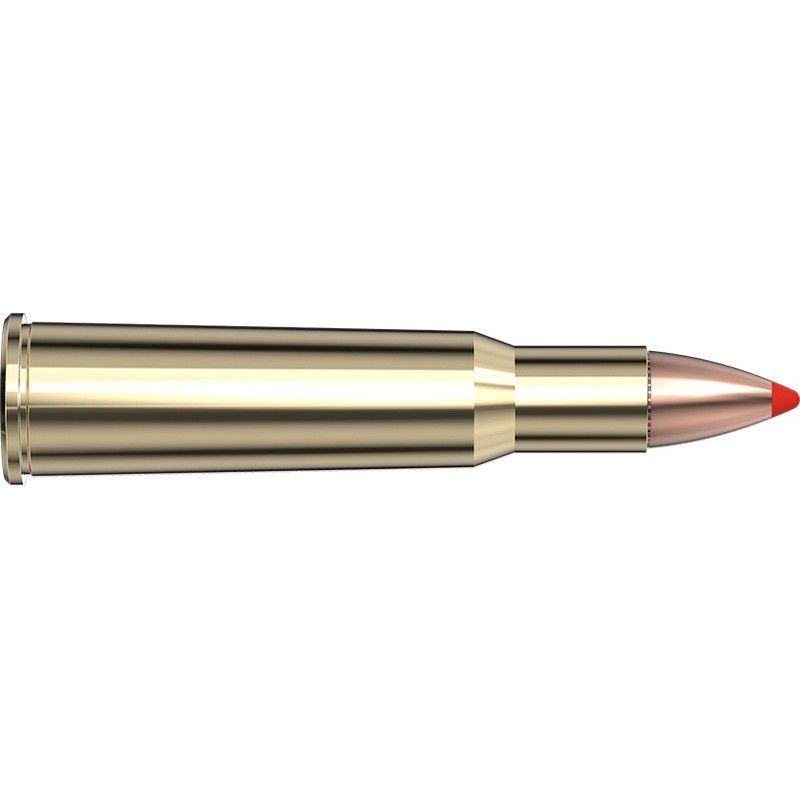 Hornady 348 Win 200gr FTX LeverEvolution (20 Rounds)