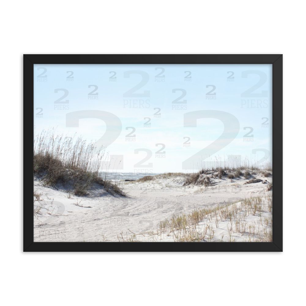 Tybee Island Dunes