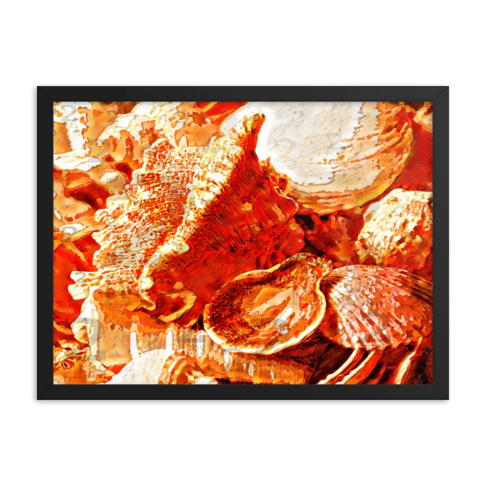 Orange Seashells