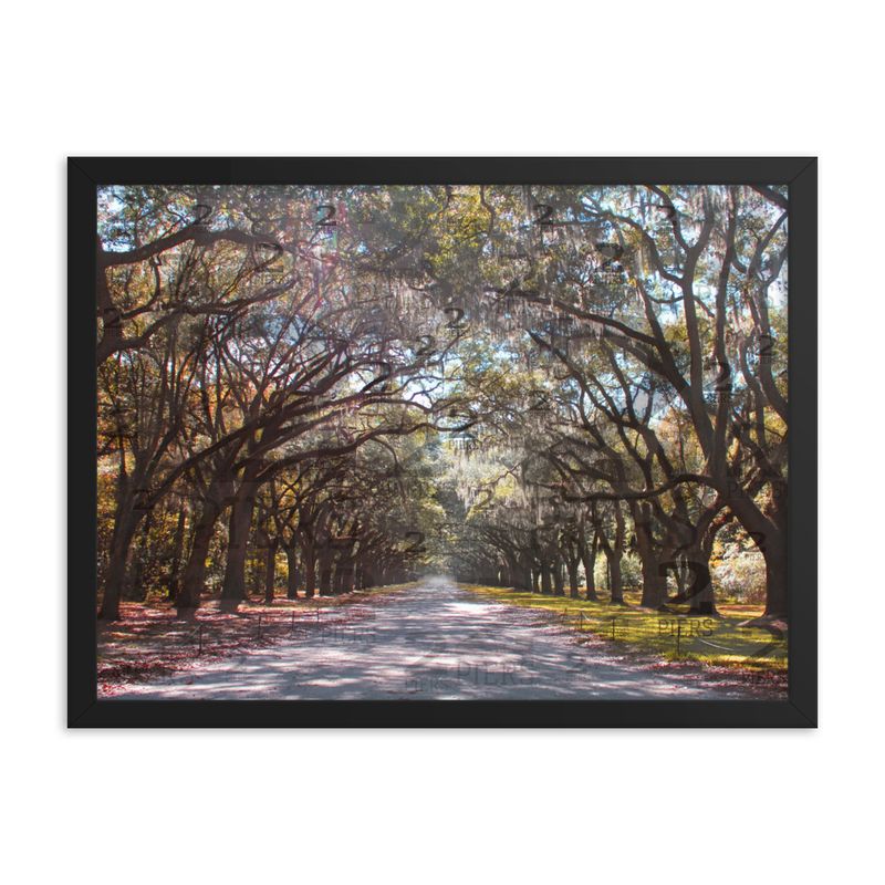 Oak Avenue