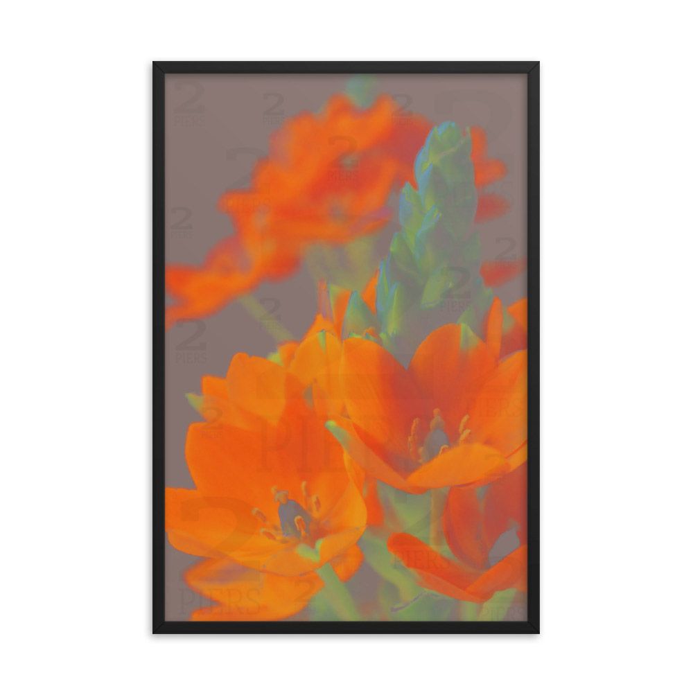 Orange Florals 2 of 2