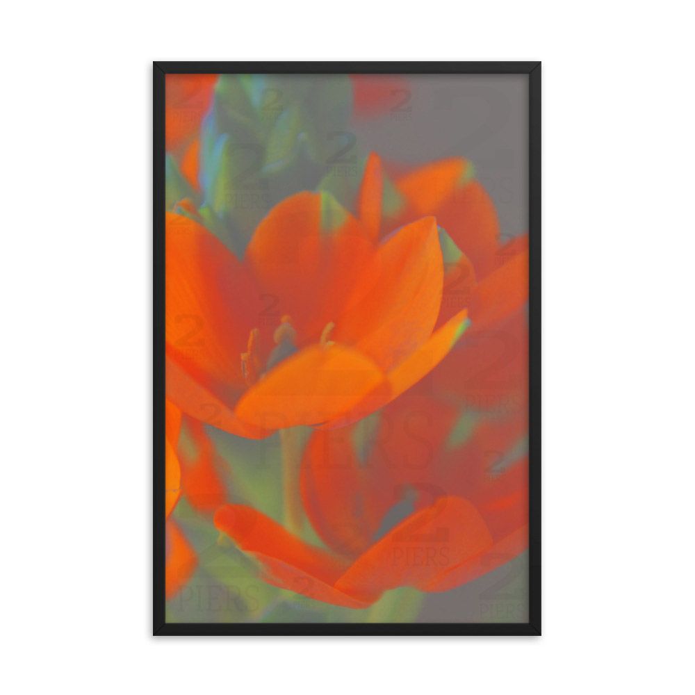 Orange Florals 1 of 2