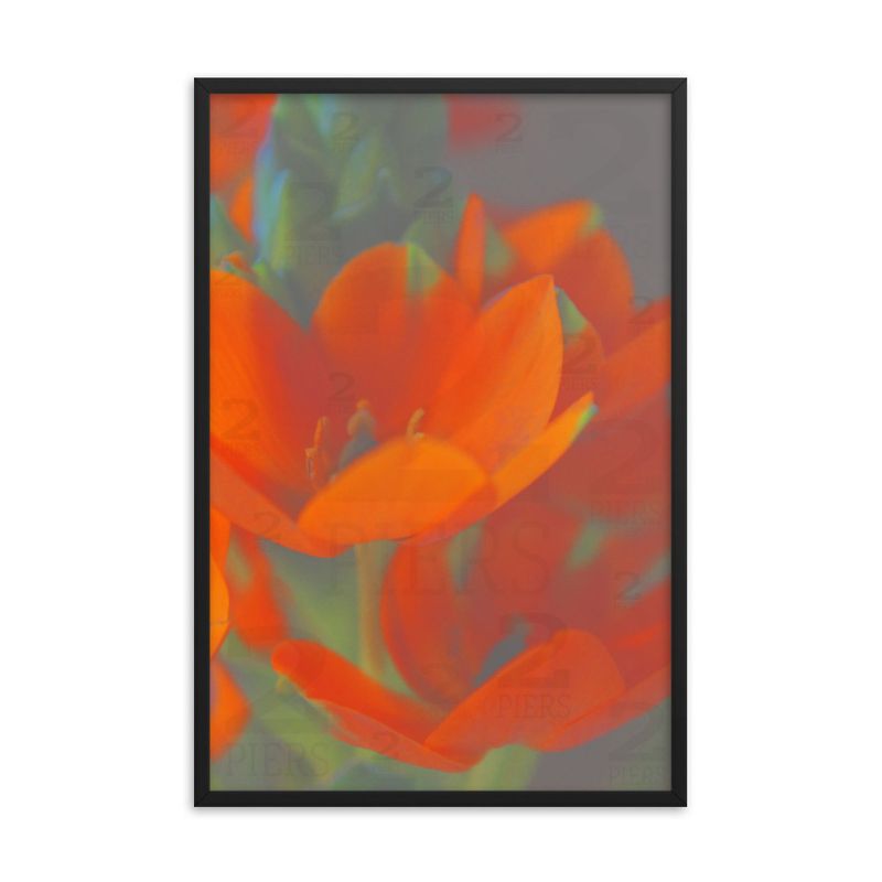 Orange Florals 1 of 2