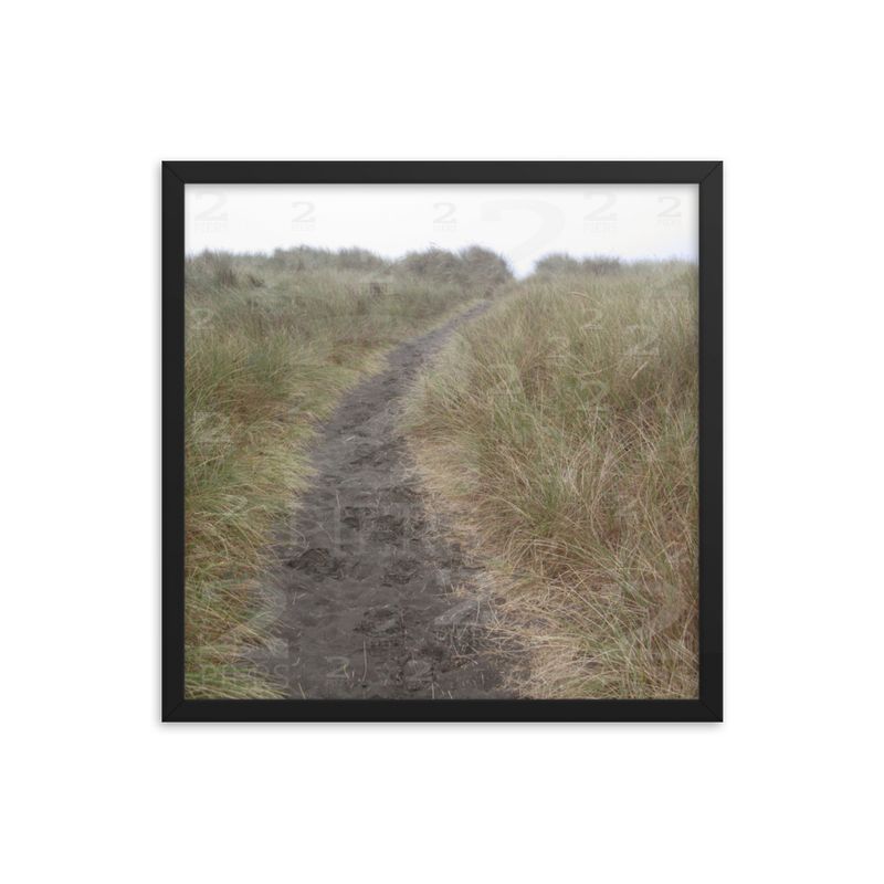 Beach Path 2 of 2