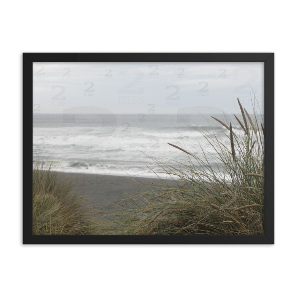 Beach Grass
