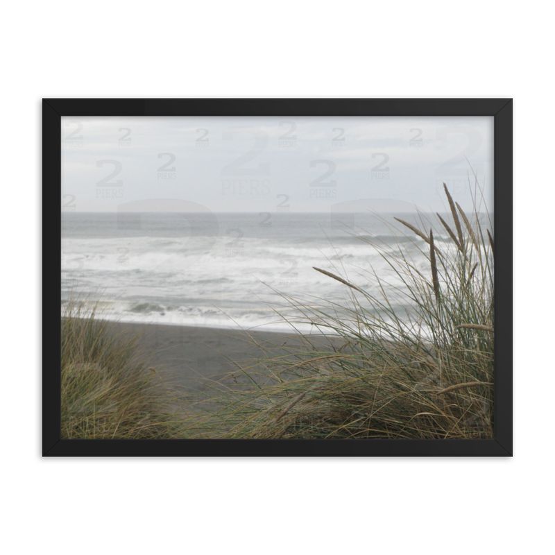 Beach Grass