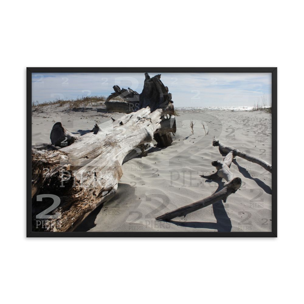 Beach Driftwood