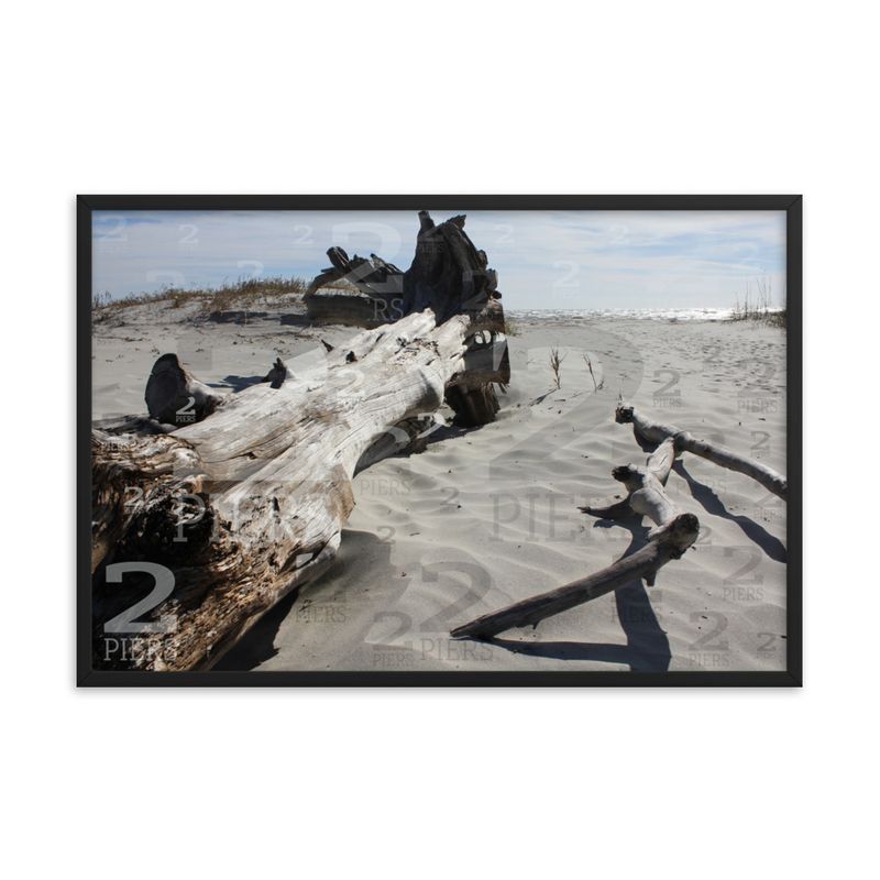 Beach Driftwood