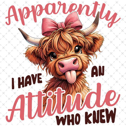 Apparently I have an Attitude Who Knew