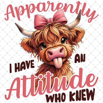 Apparently I have an Attitude Who Knew