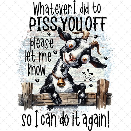 Whatever I Did