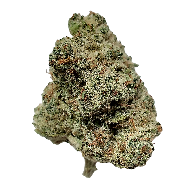 Super Boof | Premium