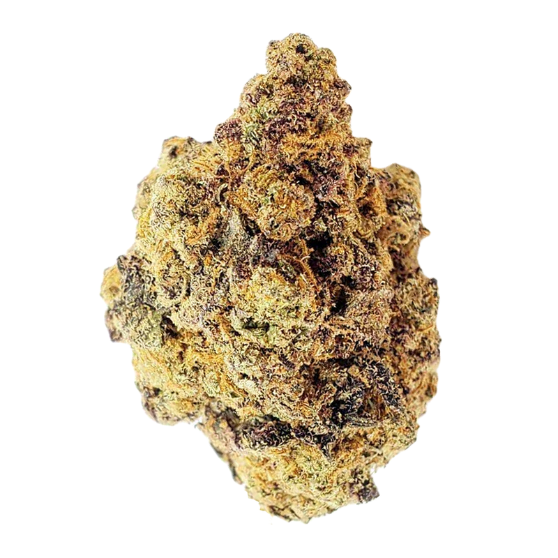 Jungle Cake | Top Shelf