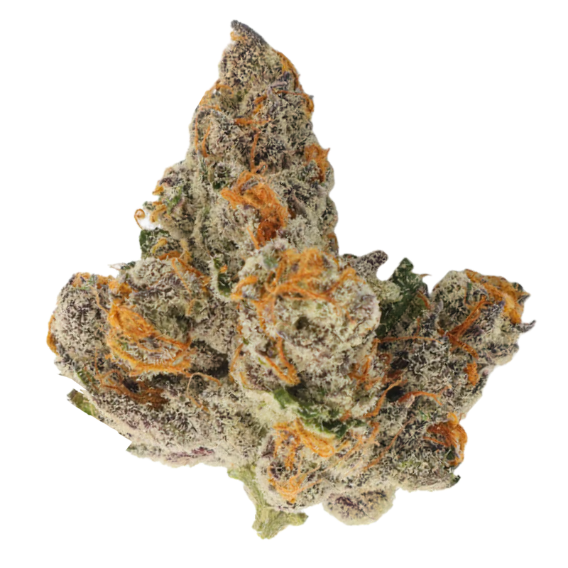 White Truffle | Premium | 28g