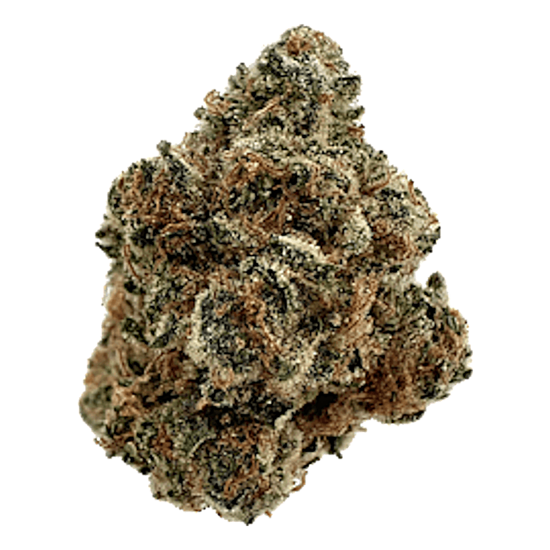 Blueberry Muffin | Premium