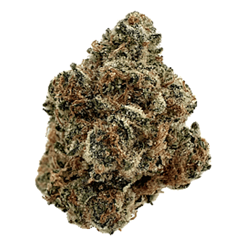 Blueberry | Premium