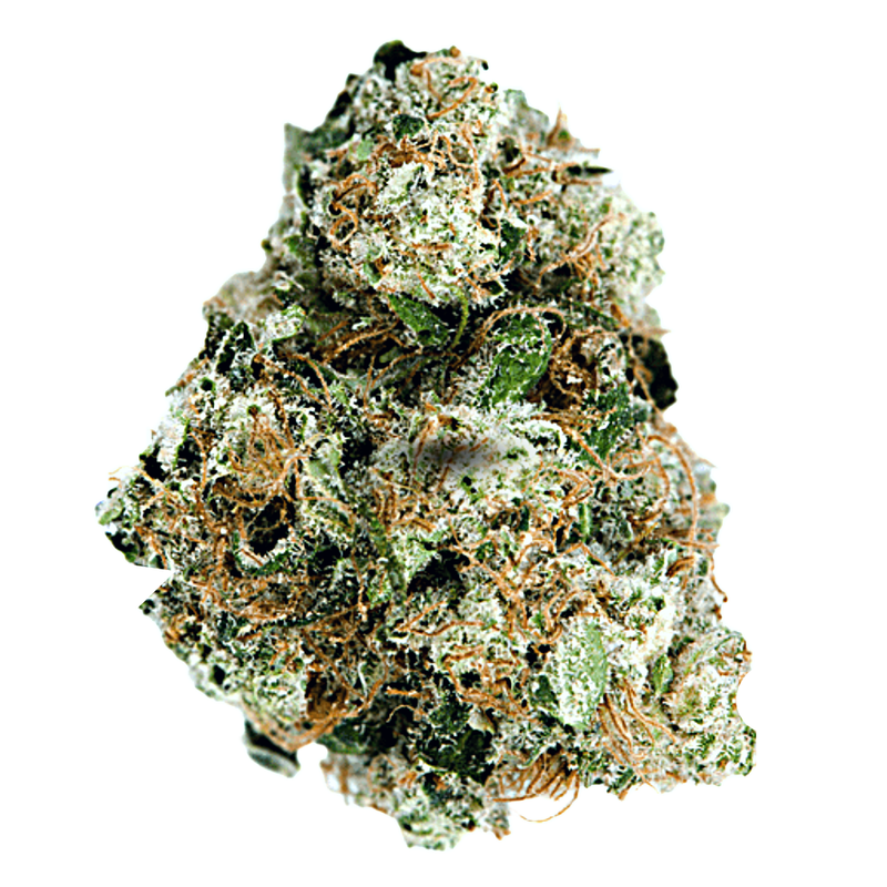 Afghani | Premium