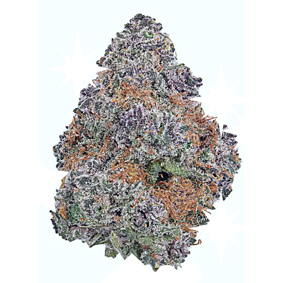 ​Sherbet Cream Pie | Premium | 28g